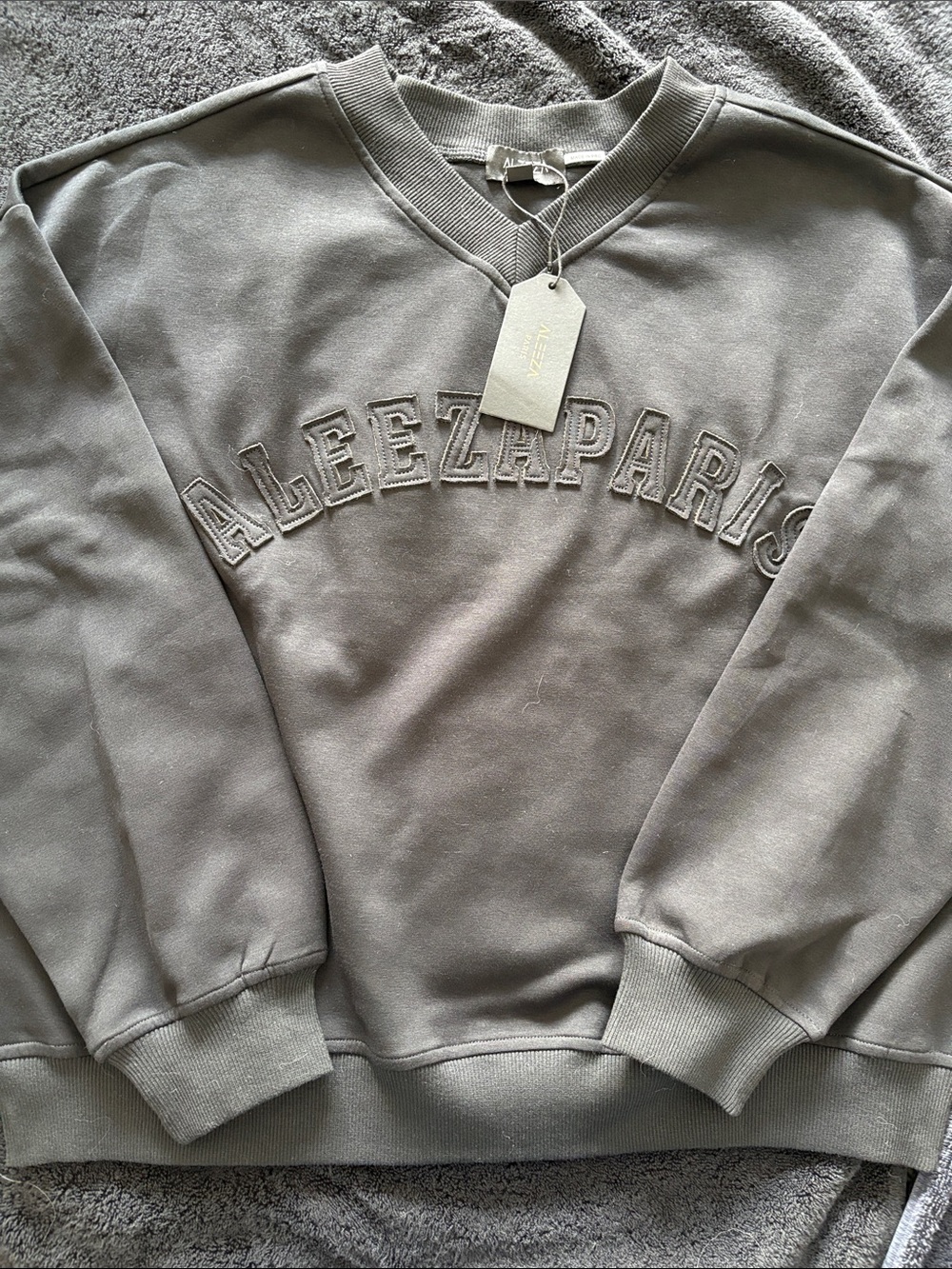 Alezzy Paris Crewneck Sweatshirt in Gray